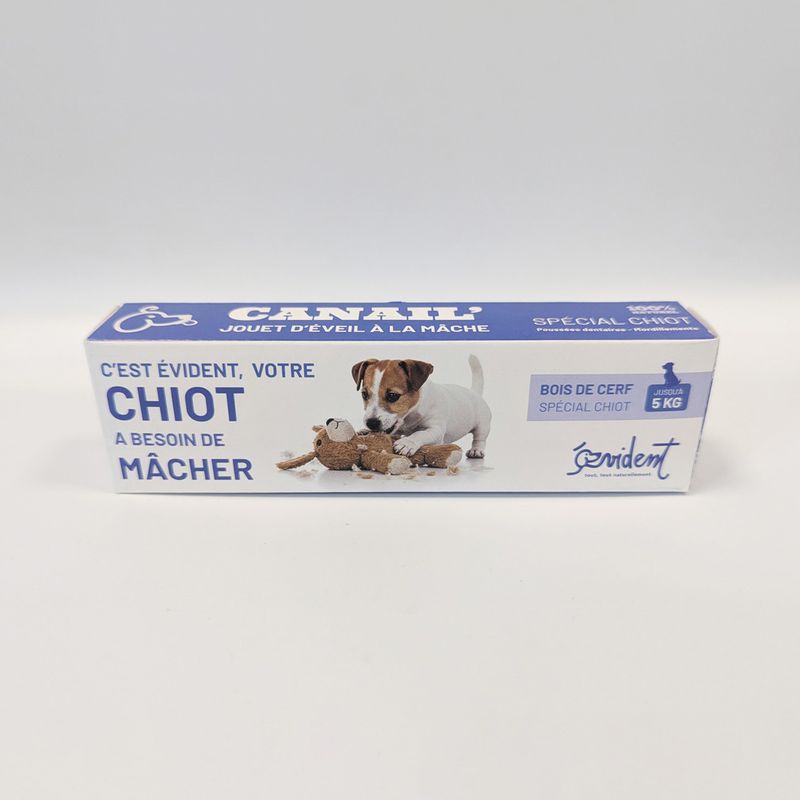 Evident Bois De Cerf Biseau Spécial Chiot