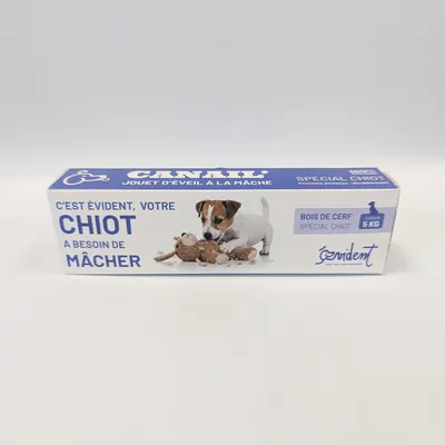 Evident Bois De Cerf Biseau Spécial Chiot
