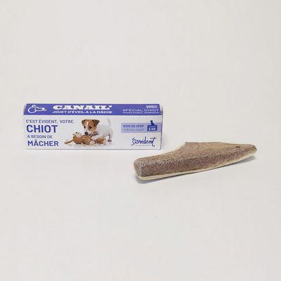 Evident Bois De Cerf Biseau Spécial Chiot