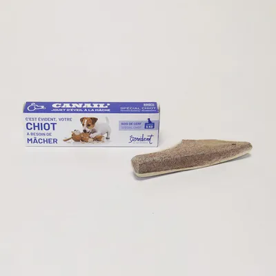 Evident Bois De Cerf Biseau Spécial Chiot