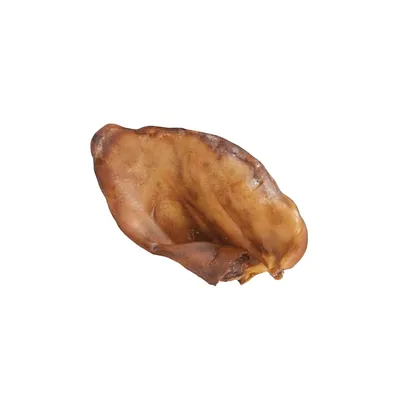 A PET STORE – Oreilles de cochon XXL – 5 pièces