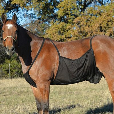 ZooVenture Protège - Ventre Maille Légère Et Respirante Pour Chevaux