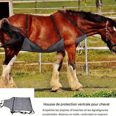 ZooVenture Protège - Ventre Maille Légère Et Respirante Pour Chevaux