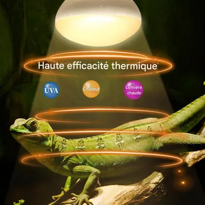 ZooVenture Lot De 2 Ampoule Chauffante 75W Pour Reptiles Amphibiens Tortue