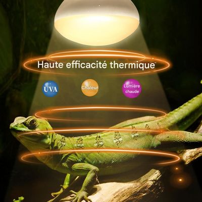 ZooVenture Paquete de 2 bombillas de calor 75 W reptiles, anfibios tortugas