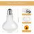 ZooVenture Lot De 2 Ampoule Chauffante 75W Pour Reptiles Amphibiens Tortue