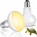 ZooVenture Lot De 2 Ampoule Chauffante 75W Pour Reptiles Amphibiens Tortue