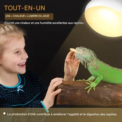 ZooVenture Lot De 2 Ampoule Chauffante 75W Pour Reptiles Amphibiens Tortue