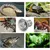 ZooVenture Ampoule Chauffante UVA UVB E27 Pour Reptile Tortue Lézard