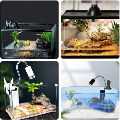 ZooVenture Bombilla de calor UVA UVB E27 para reptiles, tortugas y lagartos