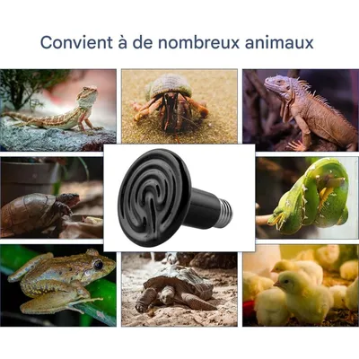 ZooVenture Lot De 2 Ampoules Céramiques Chauffantes E27 pour Petits Animaux