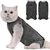 Pet Planet Costume post opératoire pour chat