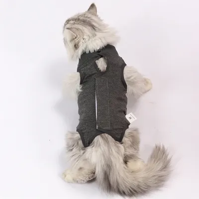 Pet Planet Costume post opératoire pour chat
