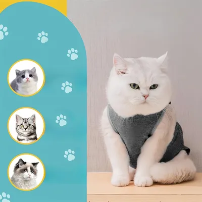 Pet Planet Costume post opératoire pour chat