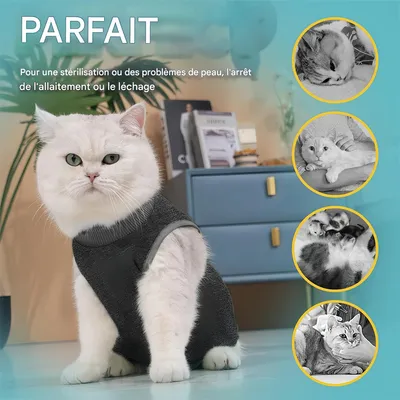 Pet Planet Costume post opératoire pour chat