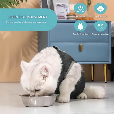 Pet Planet Costume post opératoire pour chat