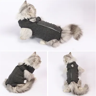Pet Planet Costume post opératoire pour chat