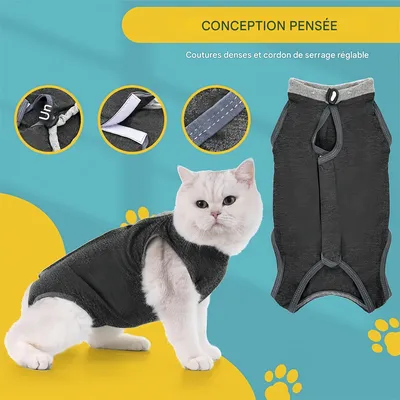 Pet Planet Costume post opératoire pour chat