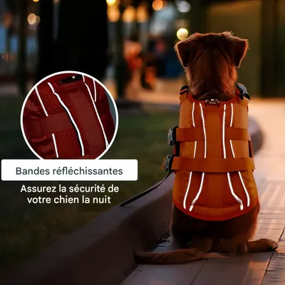 FurryFusion Gilet de sauvetage pour chien
