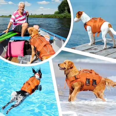 FurryFusion Gilet de sauvetage pour chien