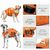 FurryFusion Gilet de sauvetage pour chien