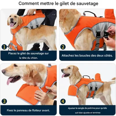 Pet Planet AquaSport Gilet De Sauvetage Pour Chien Pour Chiens