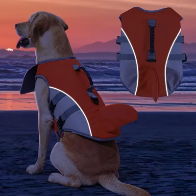 Pet Planet AquaSport Gilet De Sauvetage Pour Chien Pour Chiens