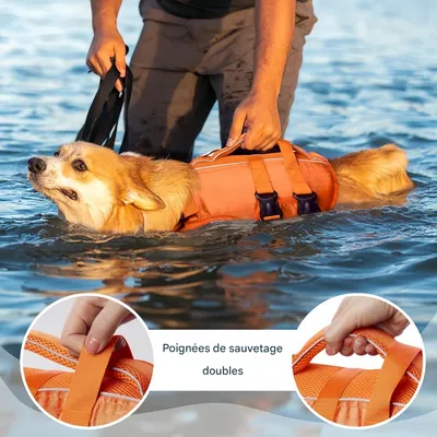 FurryFusion Gilet de sauvetage pour chien