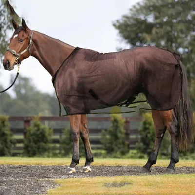 ZenPets Couverture anti-mouches pour chevaux