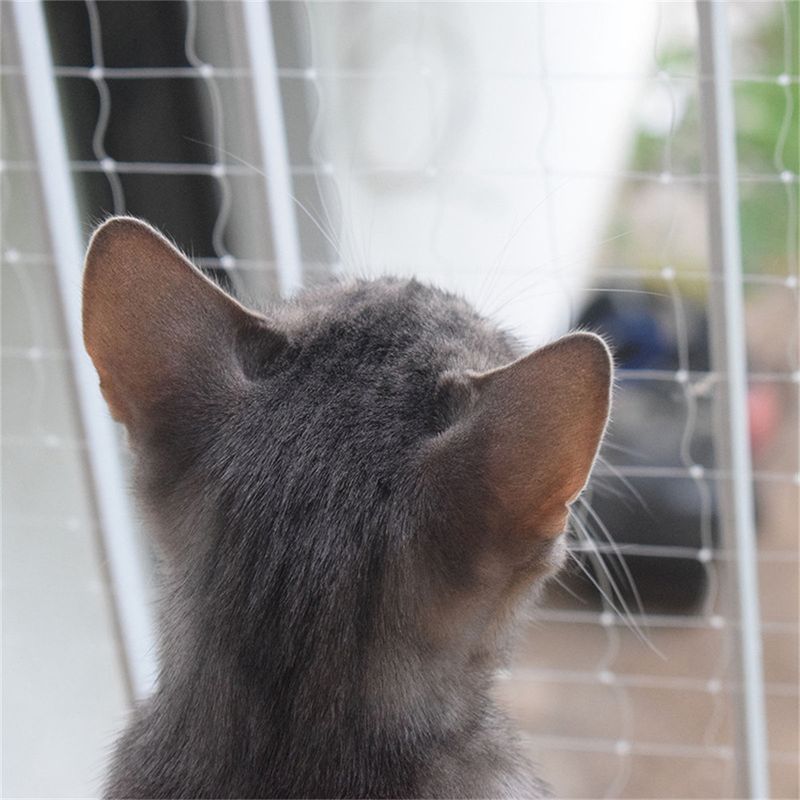 IntiMeg Protection en grille pour animaux de compagnie