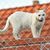 IntiMeg Protection en grille pour animaux de compagnie