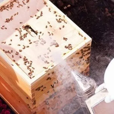 ZooVenture Fumeur De Ruche D'abeilles En Acier Inoxydable