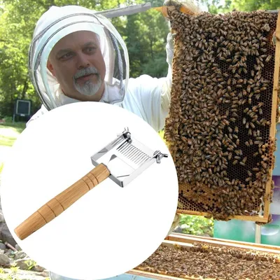 ZooVenture Fourche À Miel Réglable Râcleur En Acier Pour Apiculture