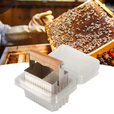 ZooVenture Couteau Coupe - Miel 5 Boîtes Pour Abeilles