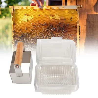 ZooVenture Couteau Coupe - Miel 5 Boîtes Pour Abeilles