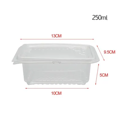 ZooVenture Couteau Coupe - Miel 5 Boîtes Pour Abeilles