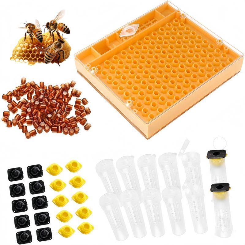 ZooVenture Kit Complet D'élevage De Reine D'abeilles Pour Apiculteur
