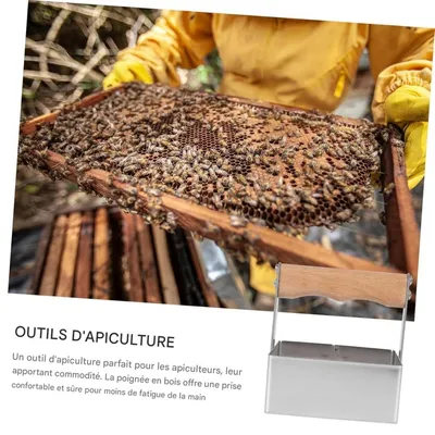 ZooVenture Miel Die Cutter En Bois Argenté Pour Abeilles