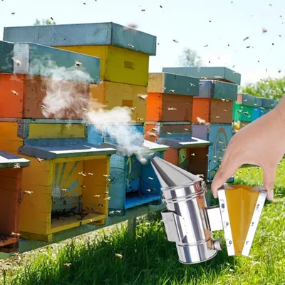 ZooVenture Fumeur D'abeille En Acier Inoxydable Pour Apiculteur Débutant