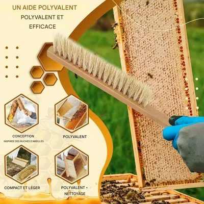 ZooVenture Lot De 2 Brosses À Abeilles Avec Manche En Bois