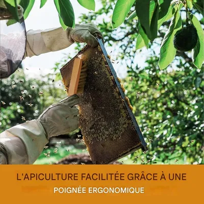 ZooVenture Lot De 2 Brosses À Abeilles Avec Manche En Bois