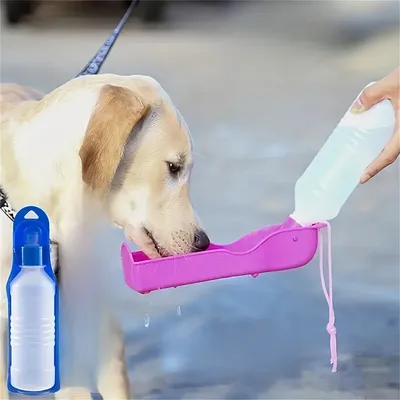 IntiMeg Bouteille d'eau portable pour chien