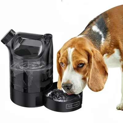 FurryFusion Seau à eau portable 2,5 L pour chien FurryFusion Seau à eau portable 2,5 L pour chien