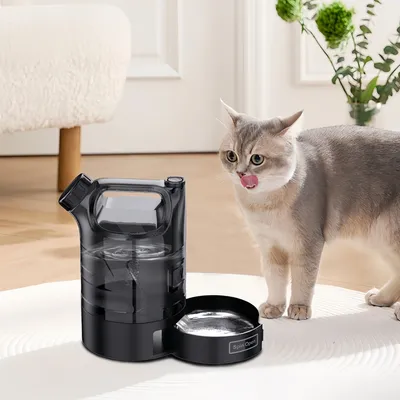 FurryFusion Seau à eau portable 2,5 L pour chien