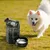 FurryFusion Seau à eau portable 2,5 L pour chien