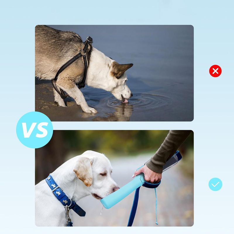 UAMLY Bouteille d'eau pliable pour chien