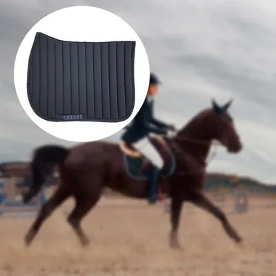 ZenPets Coussin anti-transpiration pour cheval