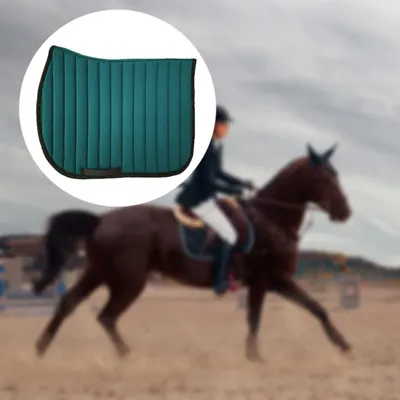 ZenPets Coussin anti-transpiration pour cheval