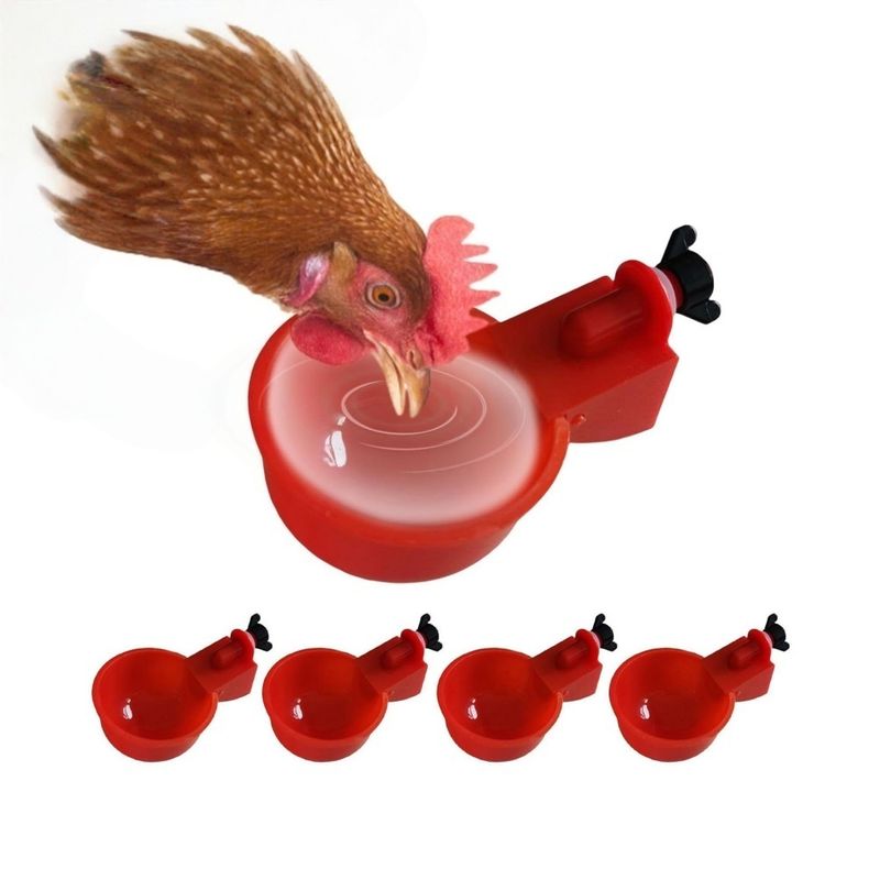 ZenPets Tasses d'eau pour volaille