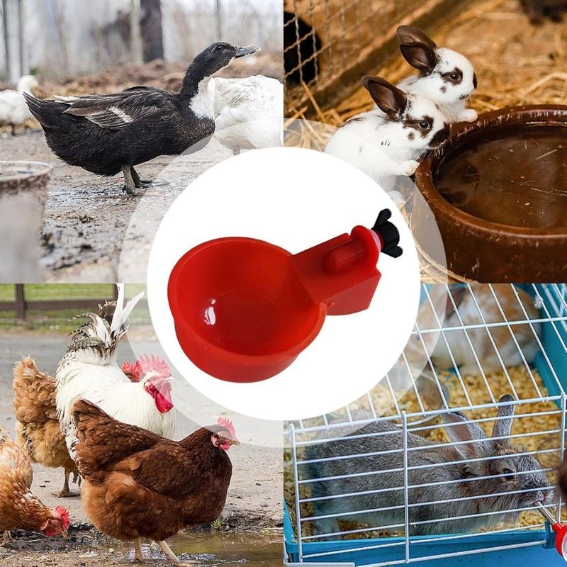ZenPets Tasses d'eau pour volaille